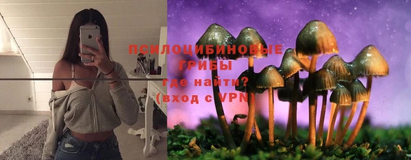apvp Володарск