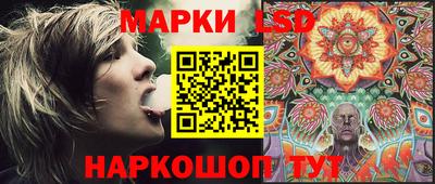 винт Донецк