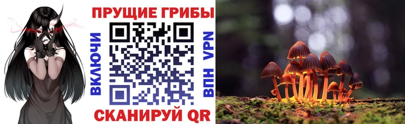 Галлюциногенные грибы прущие грибы  Губкинский 
