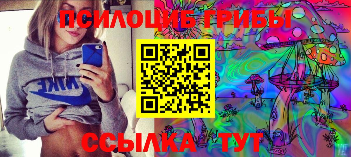 Псилоцибиновые грибы ЛСД  магазин  наркотиков  Галлюциногенные грибы Magic Shrooms  Губкинский 