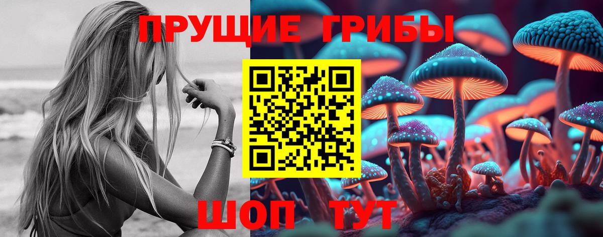 Галлюциногенные грибы Cubensis Губкинский