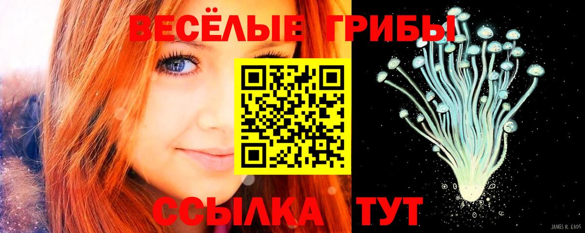 наркота  Вход с VPN  Губкинский  Галлюциногенные грибы Psilocybe 